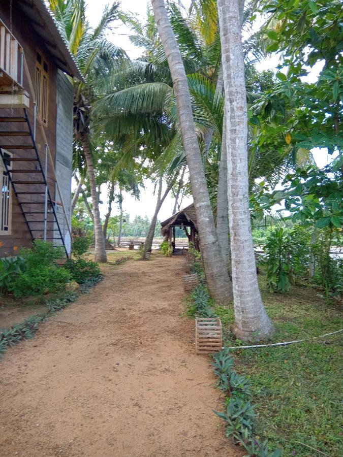 Coconut Island Yala Safari Place Tissamaharama Εξωτερικό φωτογραφία