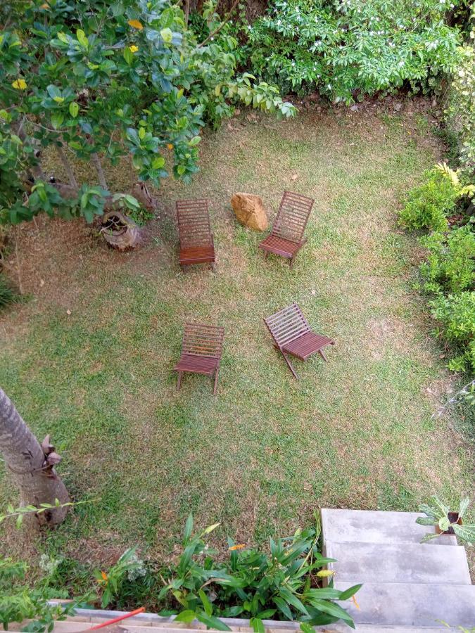 Coconut Island Yala Safari Place Tissamaharama Εξωτερικό φωτογραφία