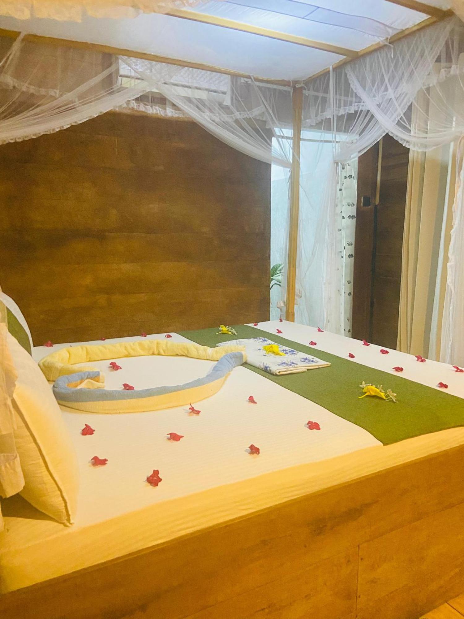 Coconut Island Yala Safari Place Tissamaharama Εξωτερικό φωτογραφία