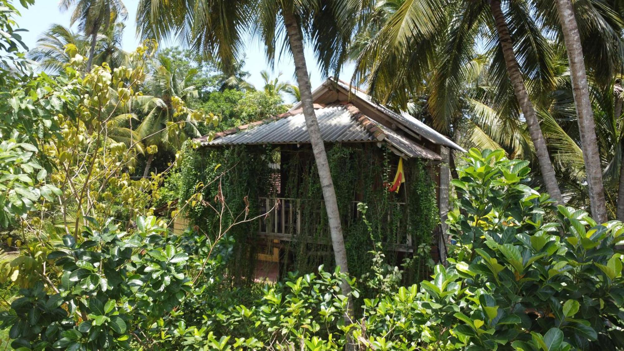 Coconut Island Yala Safari Place Tissamaharama Εξωτερικό φωτογραφία